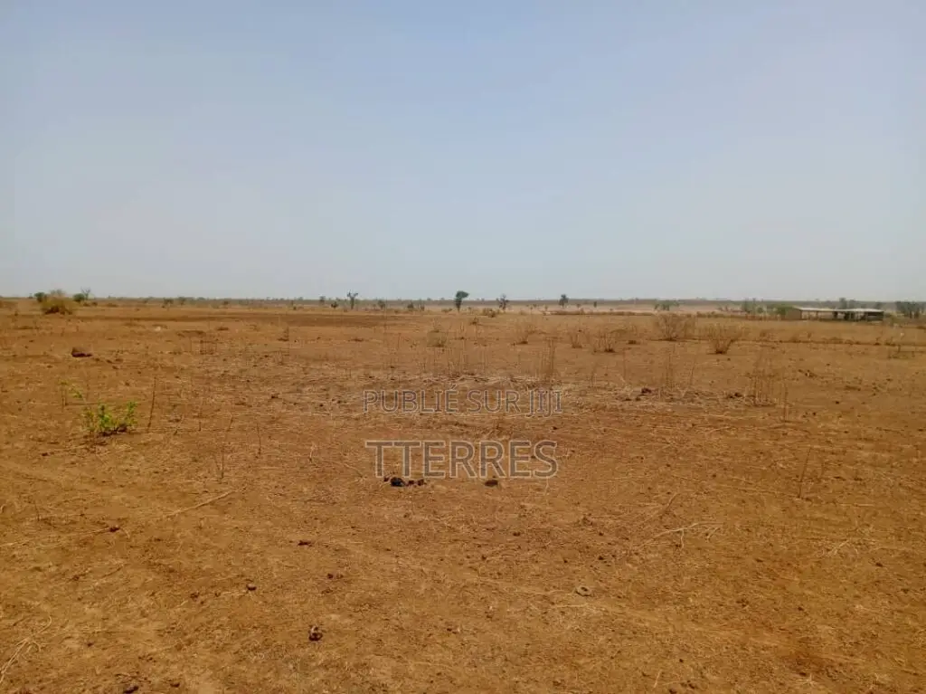 Terrain Agricole De 1,31 Hectare Vers Tassette – Thiès