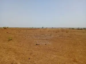 Terrain Agricole De 1,31 Hectare Vers Tassette – Thiès