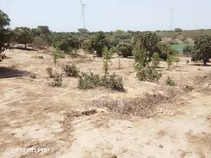 Verger De 2 Hectares Vers Taïba Ndiaye – Thiès