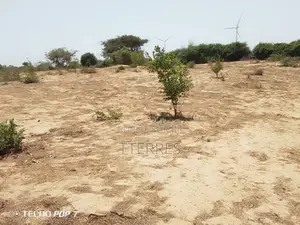 Verger De 2 Hectares Vers Taïba Ndiaye – Thiès