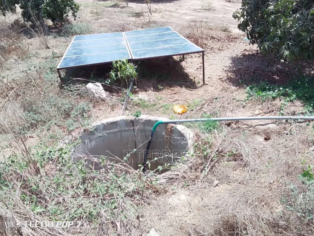 Verger De 2 Hectares Vers Taïba Ndiaye – Thiès