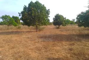 Verger De 1,42 Hectare Vers Notto Diobass – Thiès