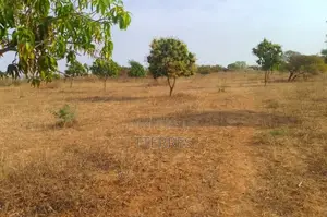 Verger De 1,42 Hectare Vers Notto Diobass – Thiès