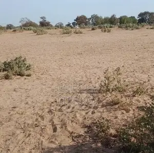 Terrain Agricole De 5 Hectares Vers Tassette – Thiès