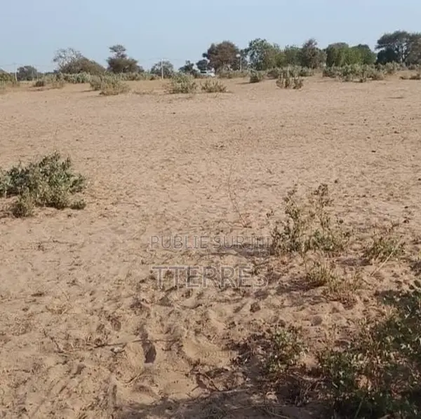 Terrain Agricole De 5 Hectares Vers Tassette – Thiès