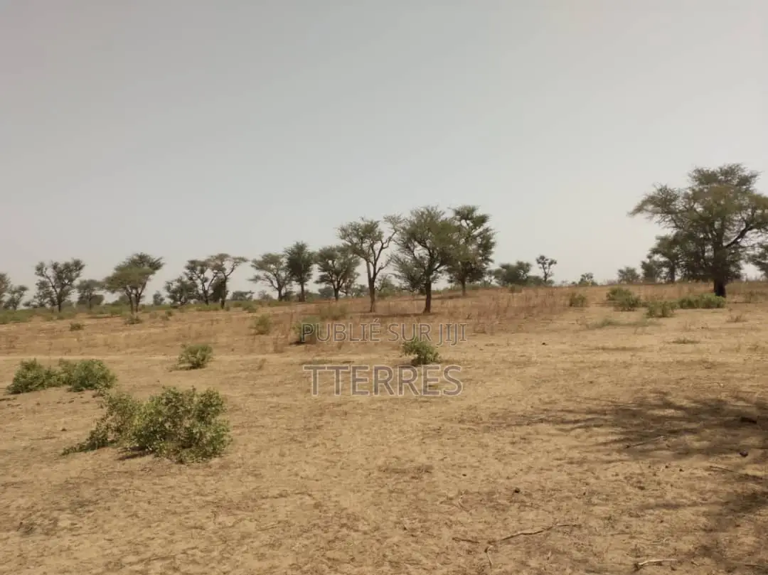 Terrain Agricole De 5 Hectares Vers Tassette – Thiès