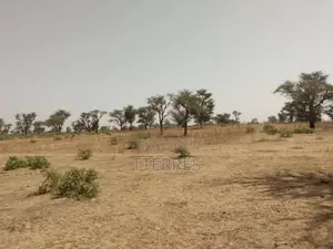 Terrain Agricole De 5 Hectares Vers Tassette – Thiès
