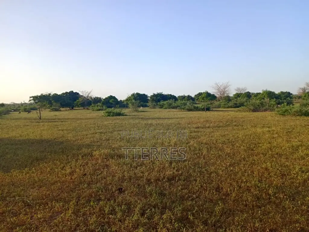 Terrain Agricole De 17 Hectares Vers Tassette – Thiès