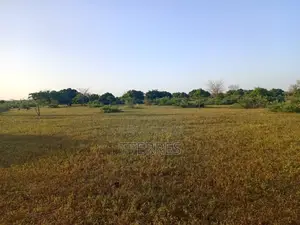 Terrain Agricole De 17 Hectares Vers Tassette – Thiès
