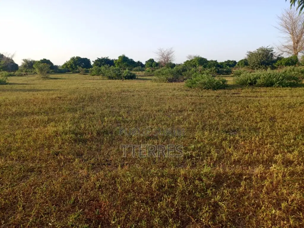 Terrain Agricole De 17 Hectares Vers Tassette – Thiès