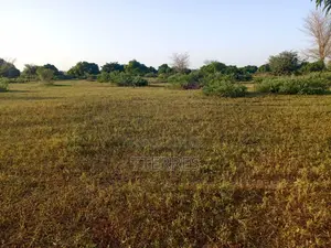 Terrain Agricole De 17 Hectares Vers Tassette – Thiès