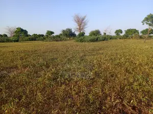 Terrain Agricole De 17 Hectares Vers Tassette – Thiès
