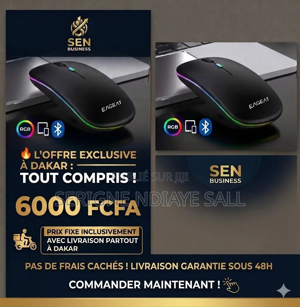 Souris Sans Fil Bluetooth Et Rechargeable (Neuve) + Led Rgb