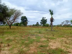 Terrain Agricole De 2,77 Hectares Vers Tassette – Thiès