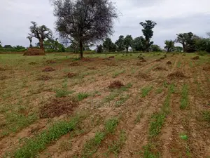Terrain Agricole De 2,77 Hectares Vers Tassette – Thiès