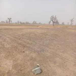 Terrain Agricole De 1 Hectare Vers Sandiara – Mbour