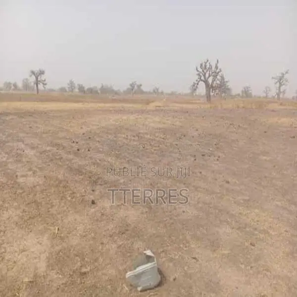Terrain Agricole De 1 Hectare Vers Sandiara – Mbour