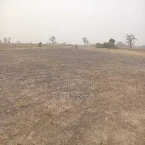 Terrain Agricole De 1 Hectare Vers Sandiara – Mbour