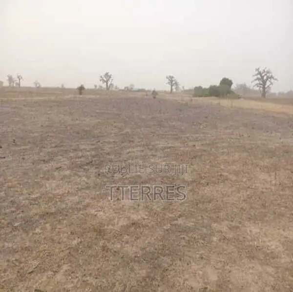 Terrain Agricole De 1 Hectare Vers Sandiara – Mbour