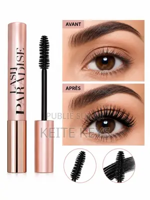 Mascara Venant De France Disponible À Dakar