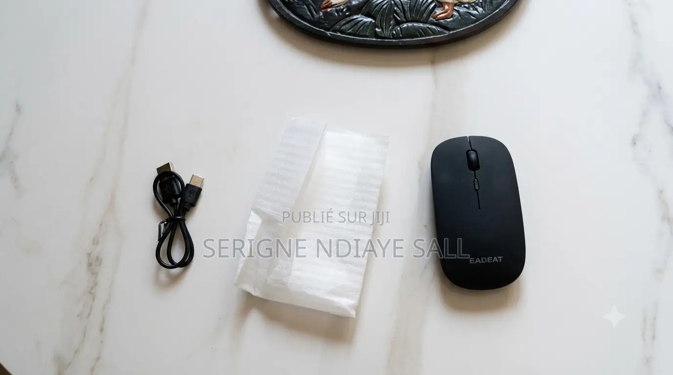 Souris Sans Fil Bluetooth Et Rechargeable (Neuve) + Led Rgb