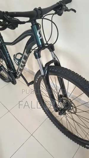 Roadmaster Velocity 125 2024 Vert