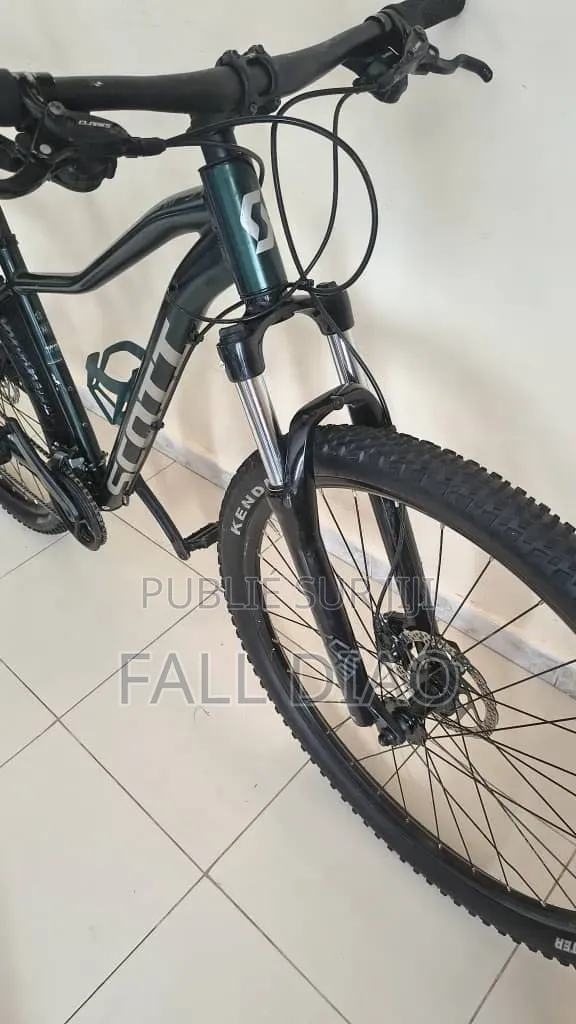 Roadmaster Velocity 125 2024 Vert