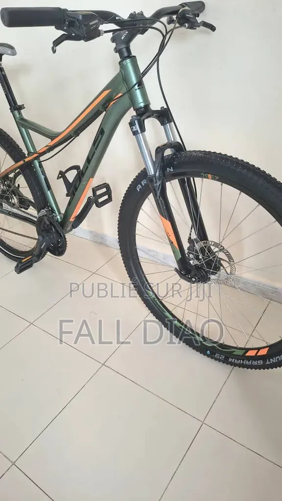 Boss Hoss Autre 2023 Vert