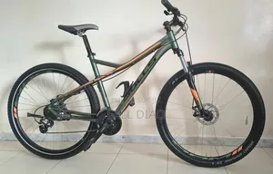 Boss Hoss Autre 2023 Vert