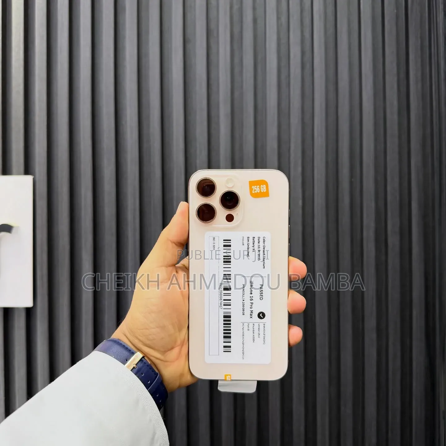 Nouveau Apple iPhone 16 Pro Max 256 GB Autre