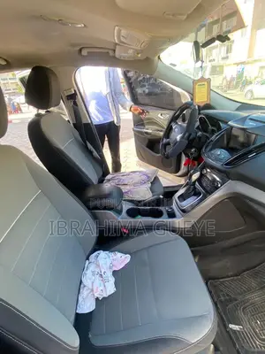 Ford Escape 2014 Beige
