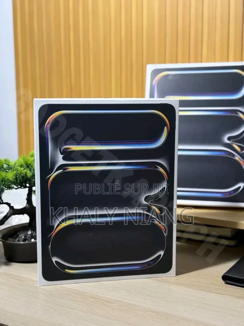 Nouveau Apple iPad Pro 256 GB Gris