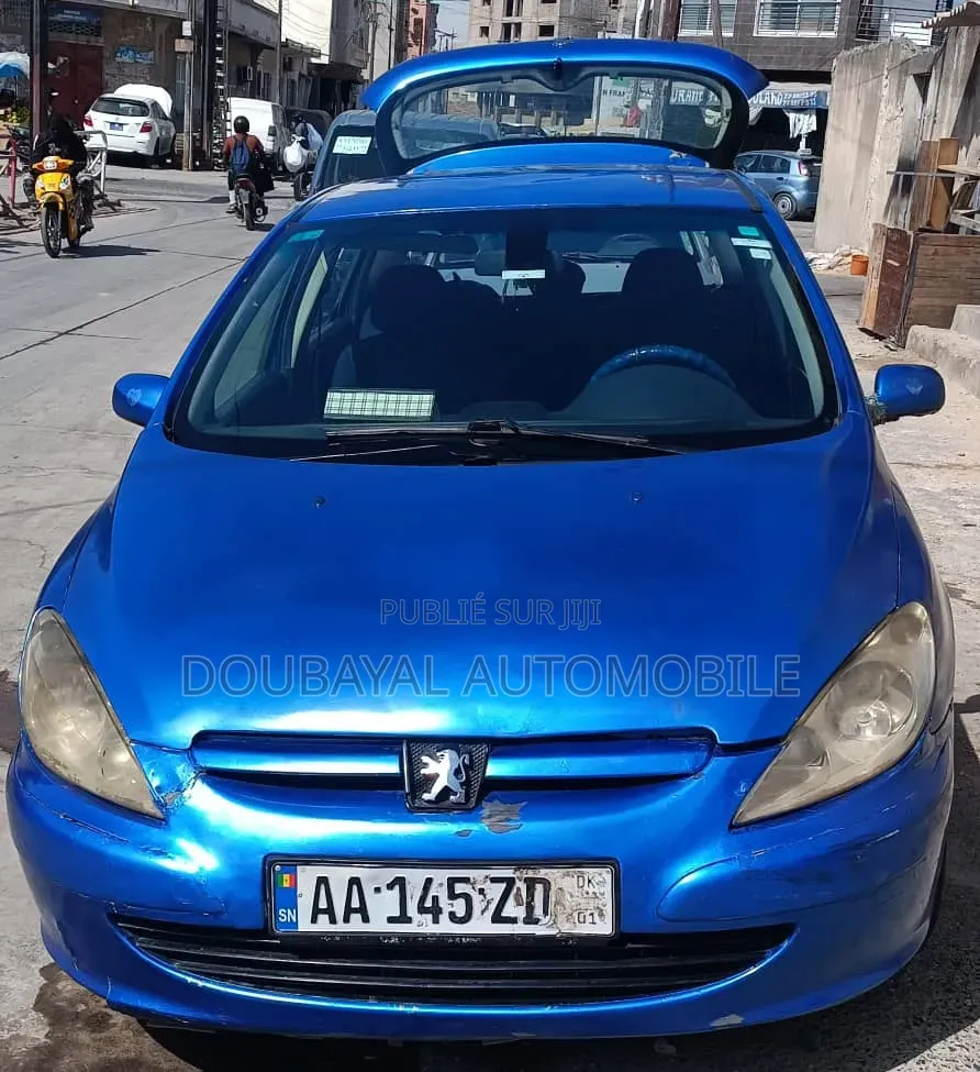 Peugeot 307 2008 Autre