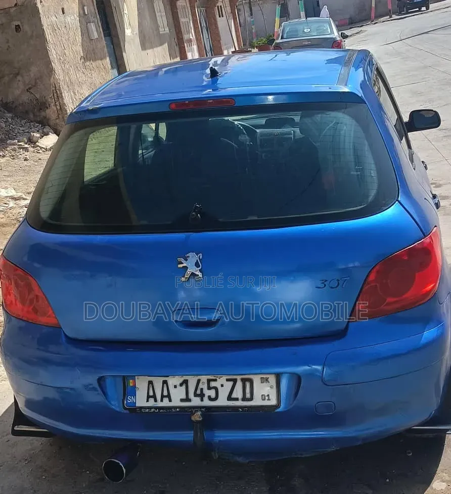 Peugeot 307 2008 Autre