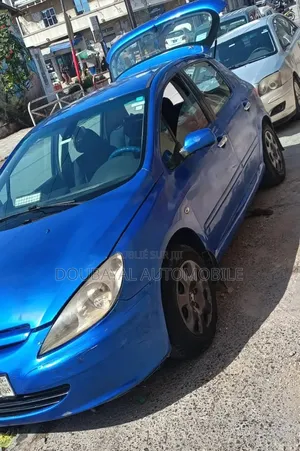 Peugeot 307 2008 Autre