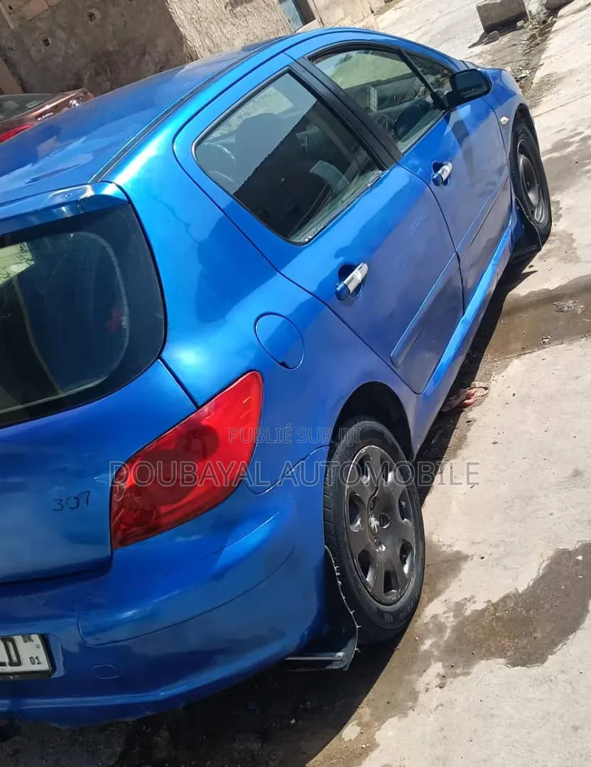 Peugeot 307 2008 Autre