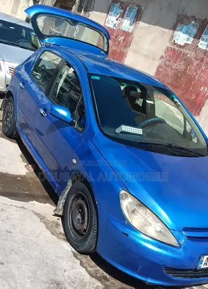 Peugeot 307 2008 Autre