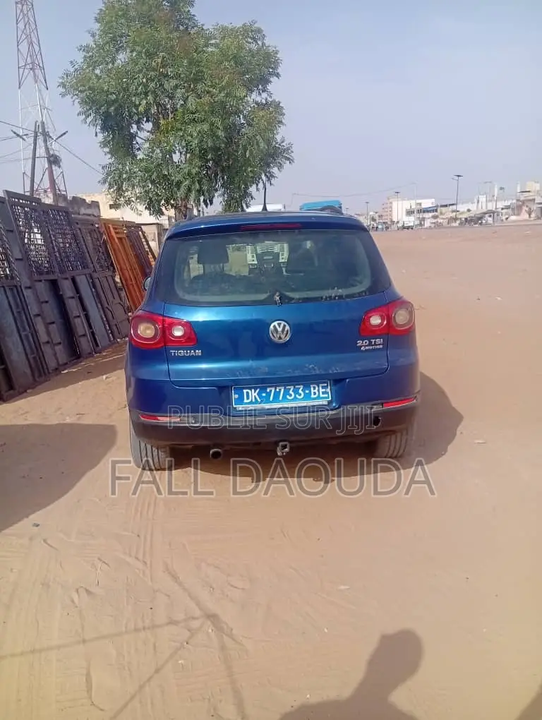 Volkswagen Tiguan 2009 Bleu