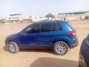 Volkswagen Tiguan 2009 Bleu