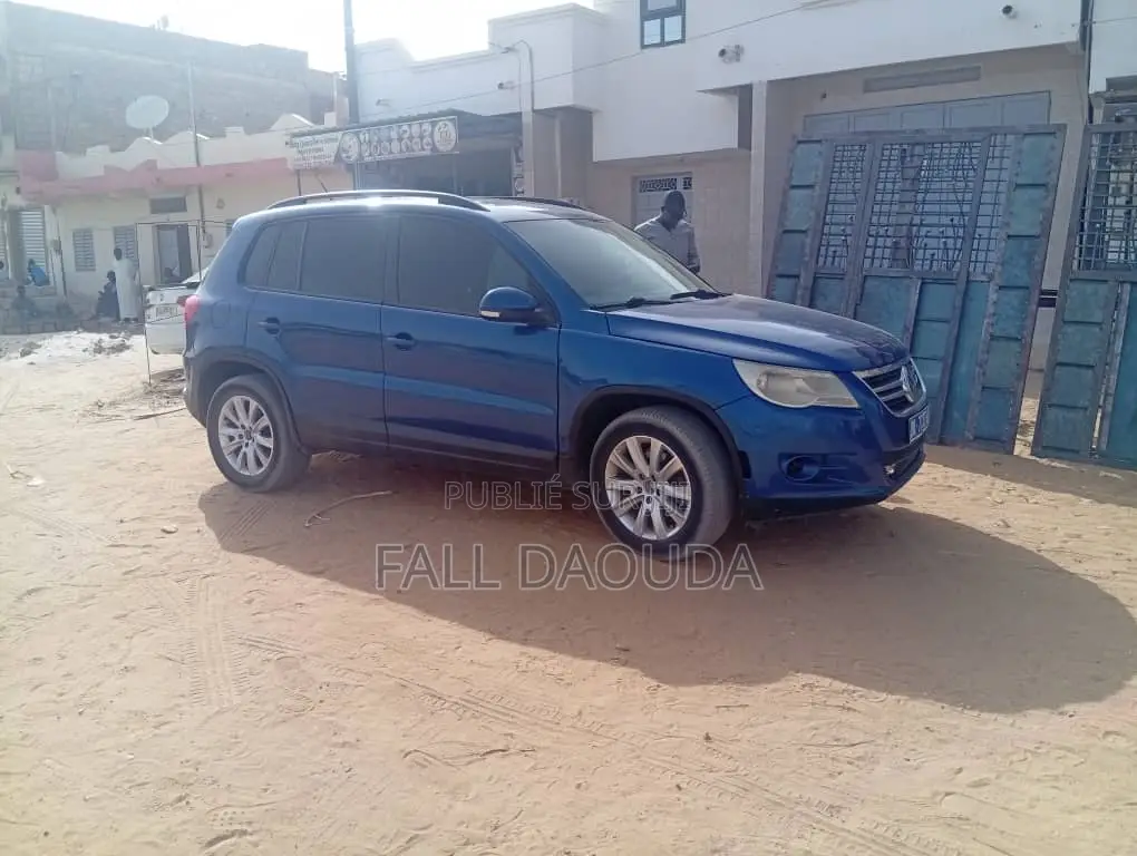 Volkswagen Tiguan 2009 Bleu