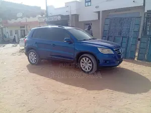 Volkswagen Tiguan 2009 Bleu