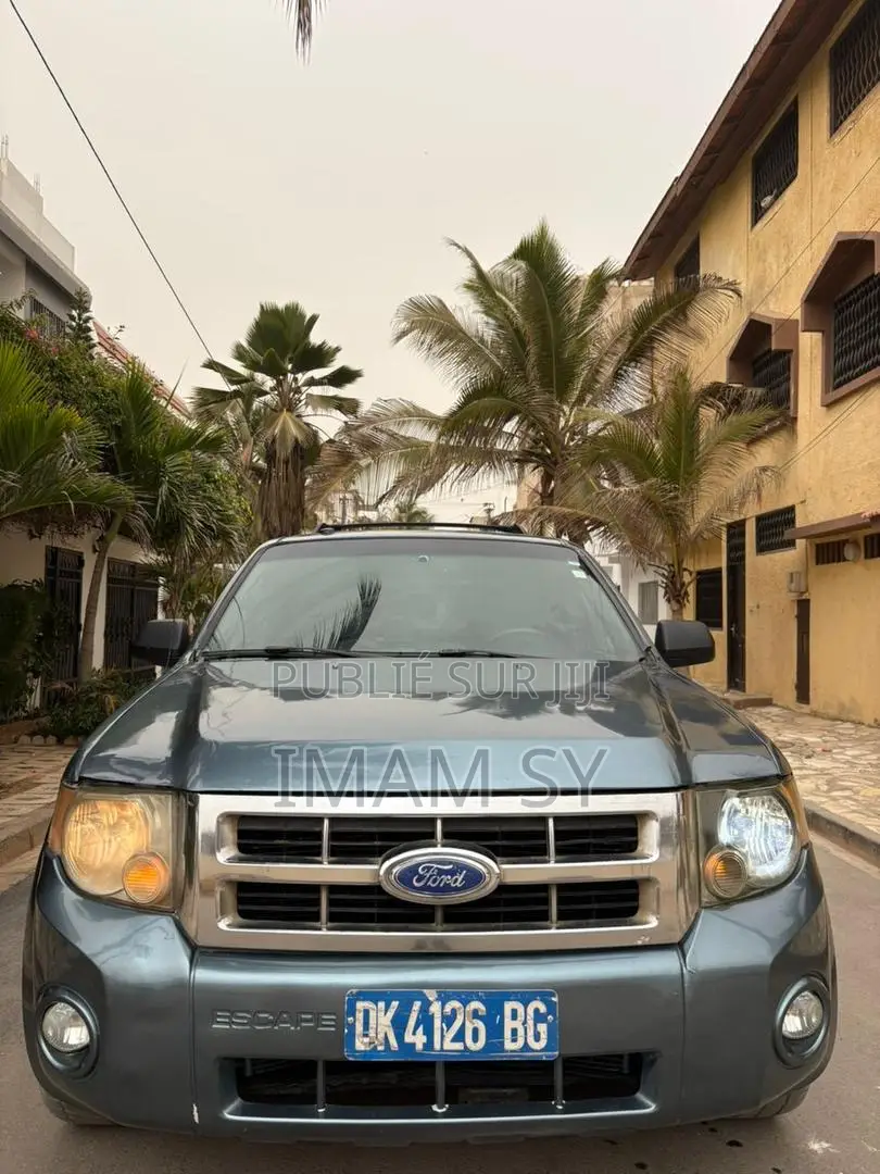 Ford Escape 2011 Gris