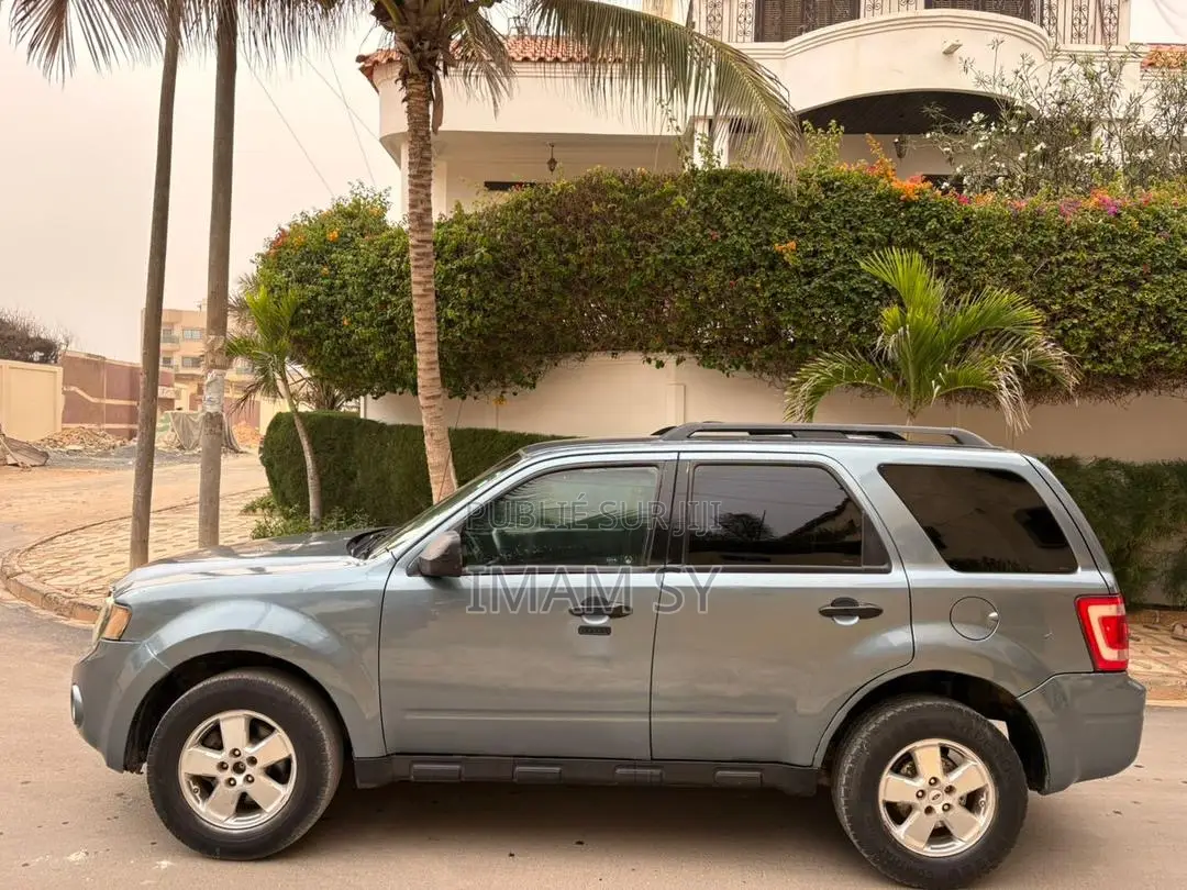 Ford Escape 2011 Gris