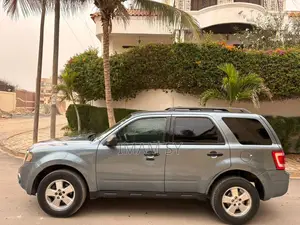 Ford Escape 2011 Gris