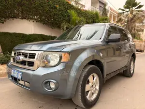 Ford Escape 2011 Gris