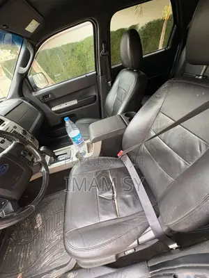 Ford Escape 2011 Gris