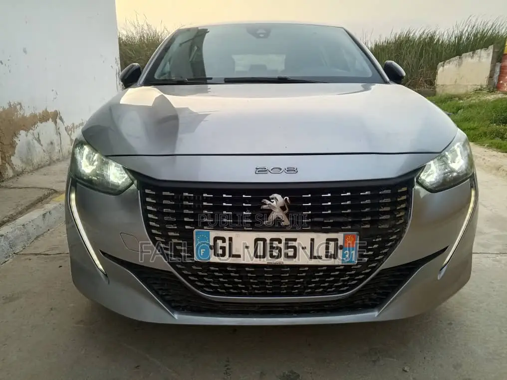 Peugeot 208 2022 Gris