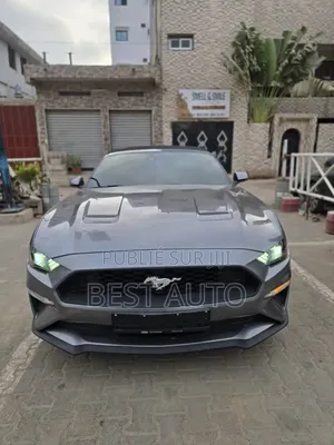 Ford Mustang 2023 Gris