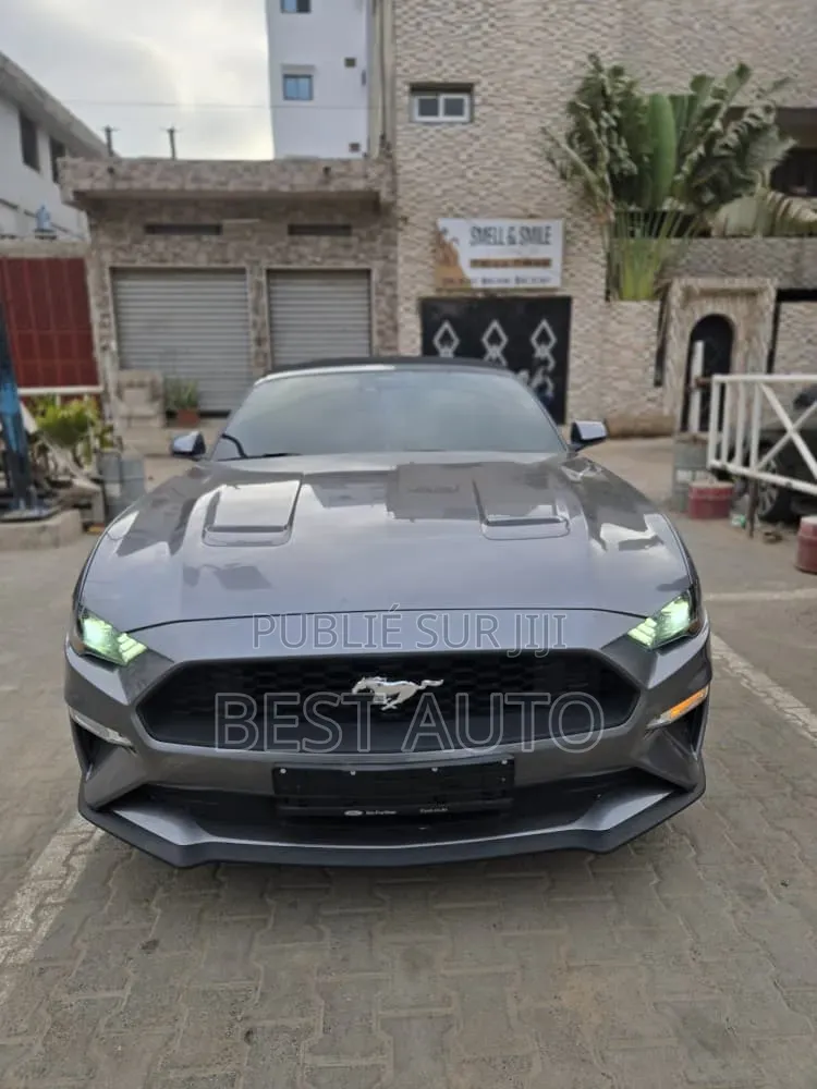 Ford Mustang 2023 Gris