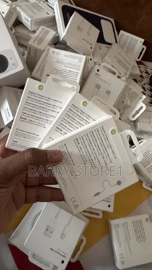 Apple Chargeur Magsafe 1m
